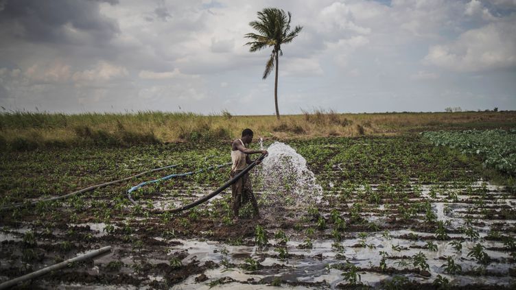 Ouganda : 169,2 M$ de l’Association internationale de développement (IDA) pour l’irrigation en réponse à l’urgence climatique