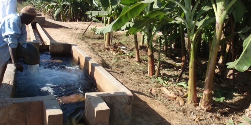Ouganda : 169,2 M$ de l’Association internationale de développement (IDA) pour l’irrigation en réponse à l’urgence climatique