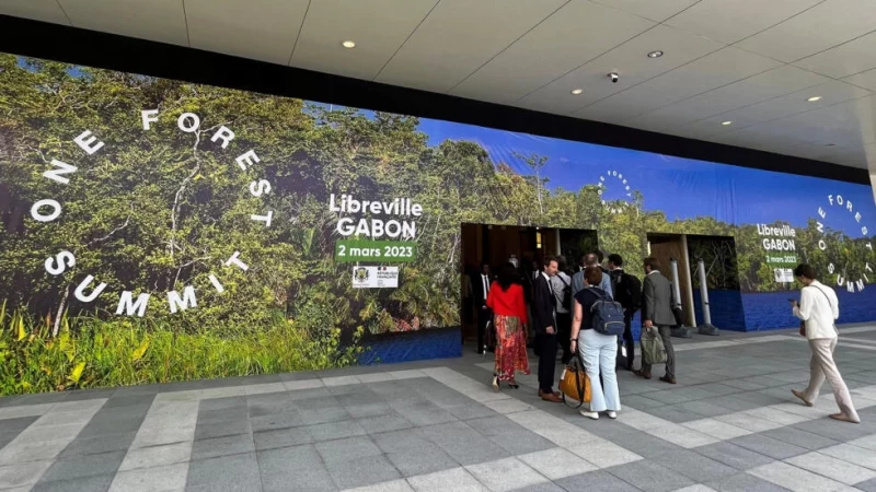 Gabon : le One Forest Summit accouche d’un fonds de 100 millions d’euros
