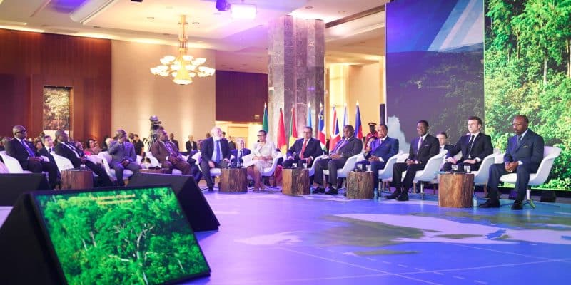 One Forest Summit : les ambitions du Plan de Libreville sur la préservation des forêts