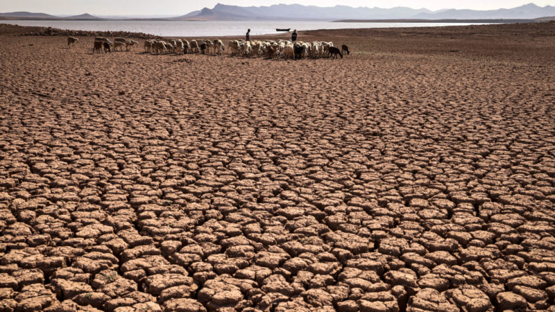 L’Afrique a tout à craindre du réchauffement climatique