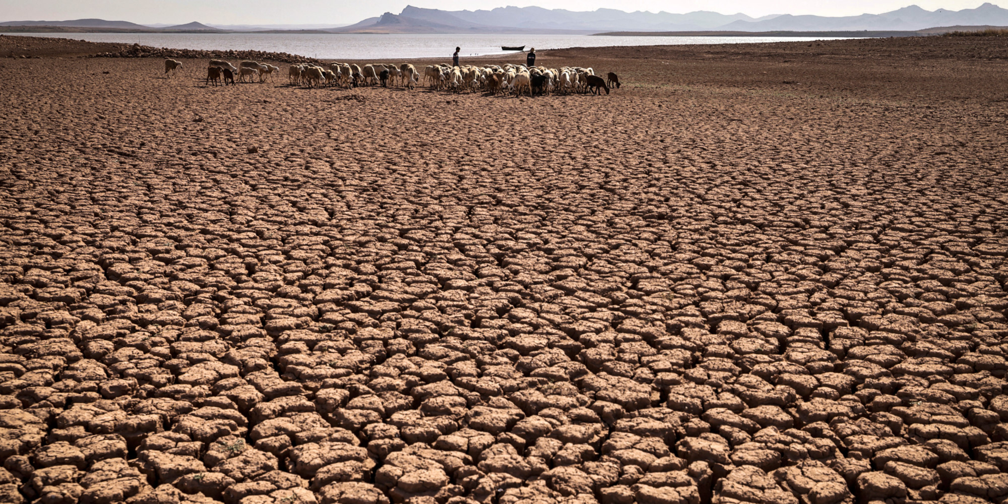 L’Afrique a tout à craindre du réchauffement climatique