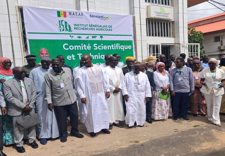 CST 2026 de l’ISRA : Le Sénégal place la recherche agricole au cœur de la souveraineté alimentaire