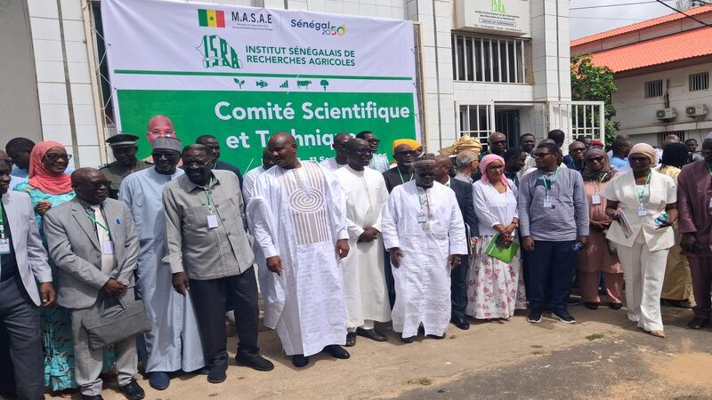 CST 2026 de l’ISRA : Le Sénégal place la recherche agricole au cœur de la souveraineté alimentaire