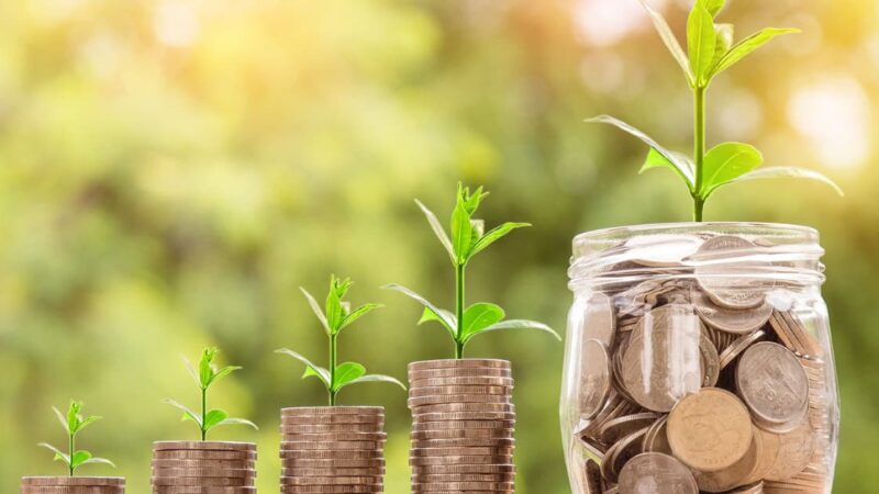 Gabon : la finance verte souveraine, entre ambitions climatiques et réalités régionale